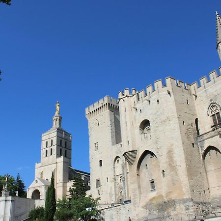 Le Petit Avignon - Chambres & Appartement A Deux Pas Du Pont D'Avignon Et Du Palais Des Papes 外观 照片