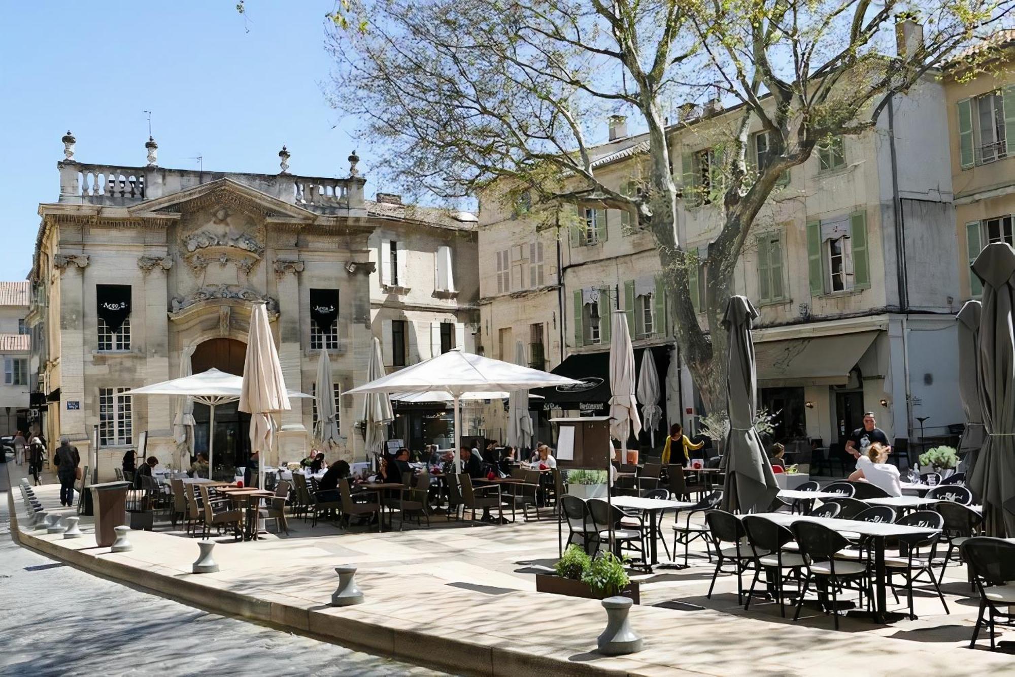 Le Petit Avignon - Chambres & Appartement A Deux Pas Du Pont D'Avignon Et Du Palais Des Papes 外观 照片