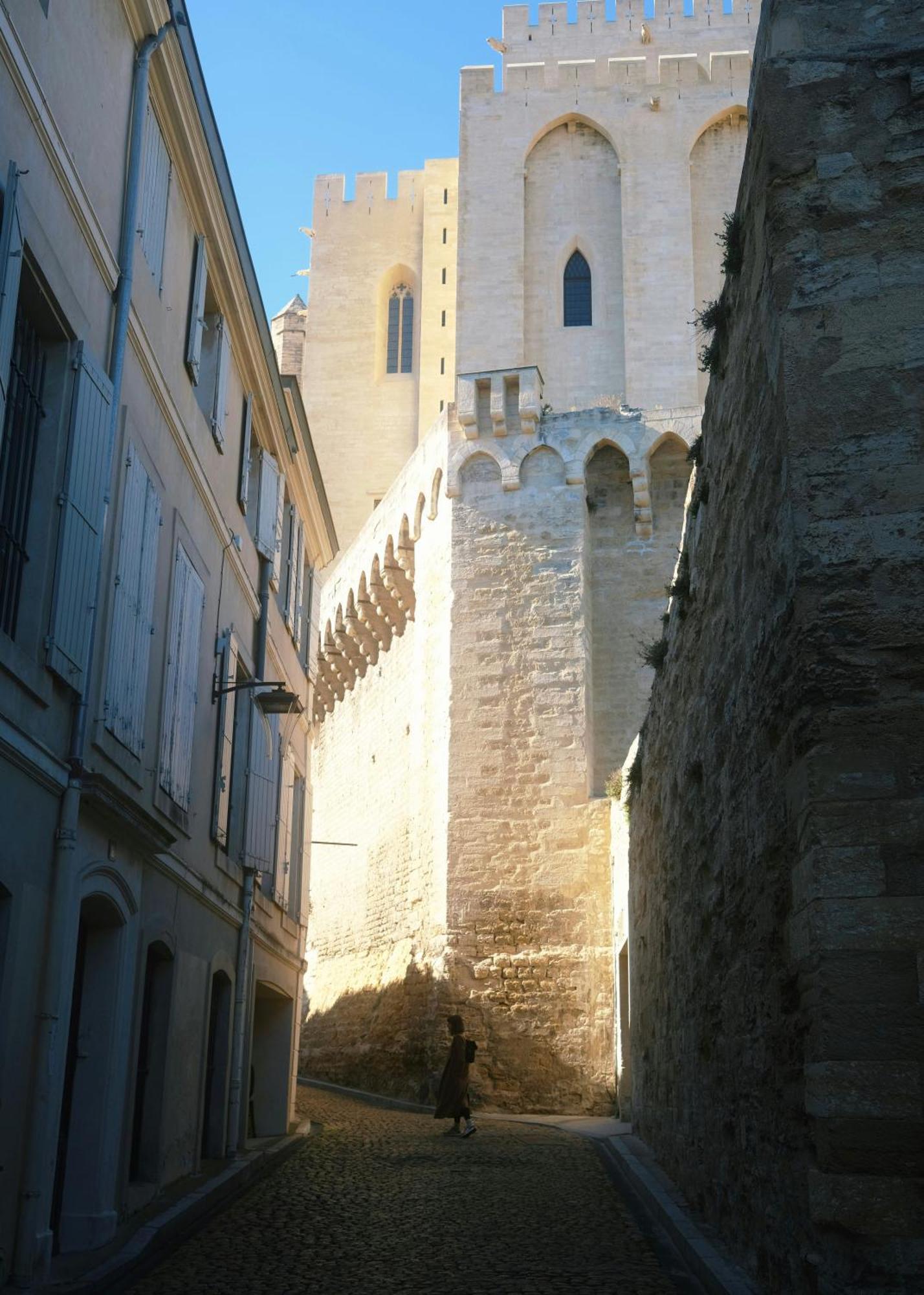 Le Petit Avignon - Chambres & Appartement A Deux Pas Du Pont D'Avignon Et Du Palais Des Papes 外观 照片